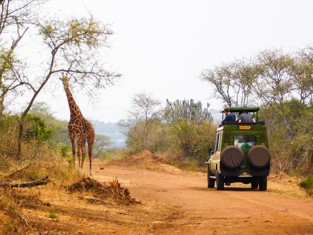 Explore the World Like Never Before with Probehorizons Tours