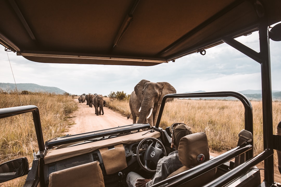 Journey Through Stunning Landscapes with Professional Tour Guides